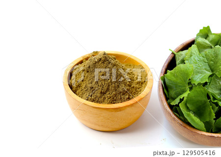 Gotu kola powder (Centella asiatica) in a wooden spoon on white background. Gotu kola powder (Centella asiatica) in a wooden spoon on white background. 129505416