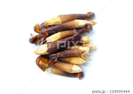 Termite mushrooms with long stems, white tips, and dark brown caps. 129505444