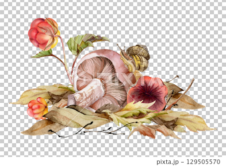 Lactarius milk-cap russula mushrooms, snail on cap, cloudberry on top of dried autumn leaves pile. Fungi natural illustration hand drawn in watercolor. Forest harvest. Herbarium, foraging journals Lactarius milk-cap russula mushrooms, snail on cap, cloudberry on top of dried autumn leaves pile. Fungi natural illustration hand drawn in watercolor. Forest harvest. Herbarium, foraging journals 129505570