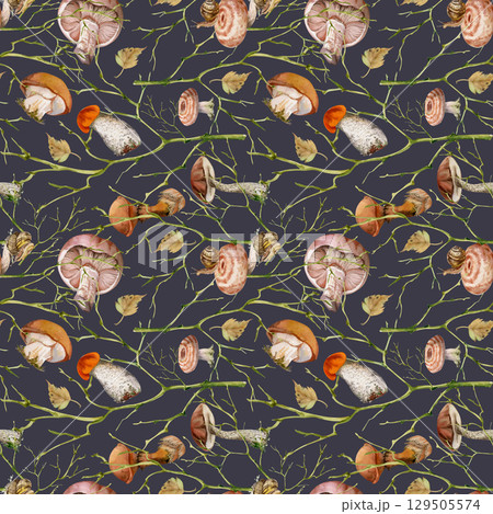 Birch bolete cep russula suillus milk-cap mushroom, fallen autumn leaves snails. Watercolor hand drawn seamless pattern. Brambles twisting branches twigs. Packaging wrapping origami isolated on dark Birch bolete cep russula suillus milk-cap mushroom, fallen autumn leaves snails. Watercolor hand drawn seamless pattern. Brambles twisting branches twigs. Packaging wrapping origami isolated on dark 129505574