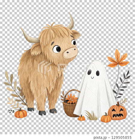 Highland cow in a Halloween theme sits on a pumpkin White Background  129505855