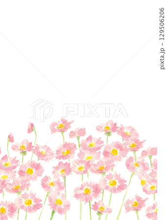 水彩で描いたデージーのシームレスボーダー背景素材【手描き】白バック 透過背景 コピースペースあり 水彩で描いたデージーのシームレスボーダー背景素材【手描き】白バック 透過背景 コピースペースあり 129506206