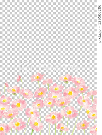 水彩で描いたデージーのシームレスボーダー背景素材【手描き】白バック 透過背景 コピースペースあり 水彩で描いたデージーのシームレスボーダー背景素材【手描き】白バック 透過背景 コピースペースあり 129506206