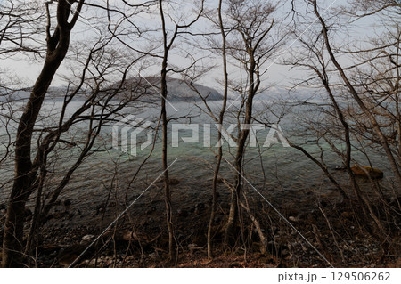 春先の十和田湖の湖色（青森県） 129506262