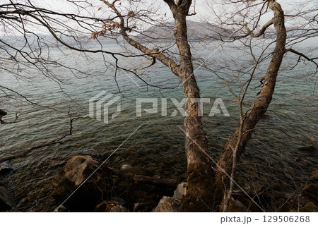 春先の十和田湖の湖色(青森県) 春先の十和田湖の湖色(青森県) 129506268