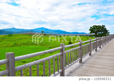 知床五湖　高架木道 129506311