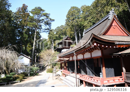 西国三十三箇所 長命寺 西国三十三箇所 長命寺 129506316
