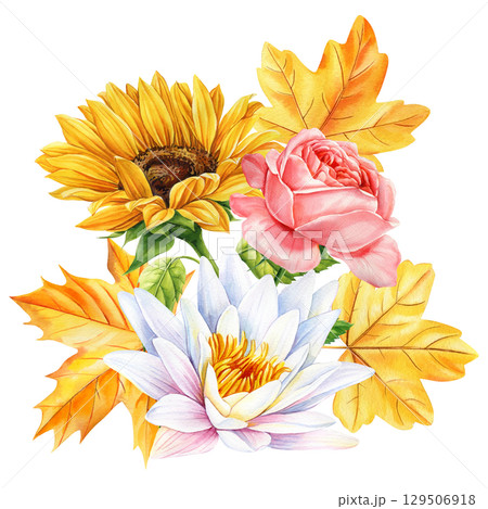 Watercolor autumn bouquet with sunflower pink rose white water lily and yellow maple leaves on white background 129506918