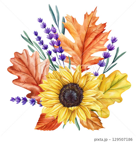 Autumn bouquet with sunflower lavender and colorful oak leaves in seasonal watercolor botanical composition. Boho arrangement Autumn bouquet with sunflower lavender and colorful oak leaves in seasonal watercolor botanical composition. Boho arrangement 129507186