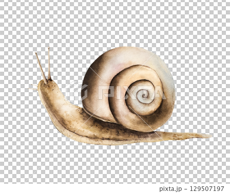 Watercolor snail in warm autumn tones. Hand drawn garden animal, illustration isolated on background. Ideal for seasonal, forest, or nature-themed designs. Rustic foliage perfect for fall decor Watercolor snail in warm autumn tones. Hand drawn garden animal, illustration isolated on background. Ideal for seasonal, forest, or nature-themed designs. Rustic foliage perfect for fall decor 129507197