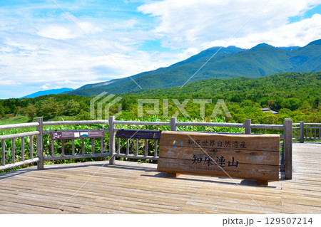 知床五湖 高架木道 連山展望台 知床五湖 高架木道 連山展望台 129507214