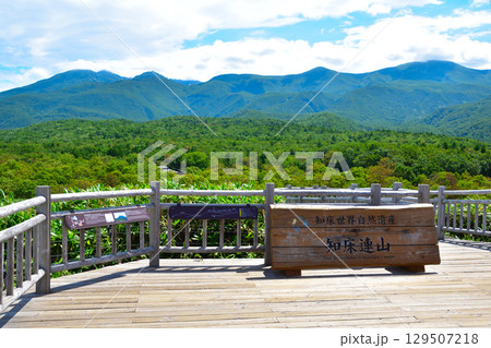 知床五湖　高架木道　連山展望台 129507218