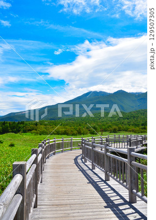 知床五湖 高架木道 知床連山 知床五湖 高架木道 知床連山 129507305