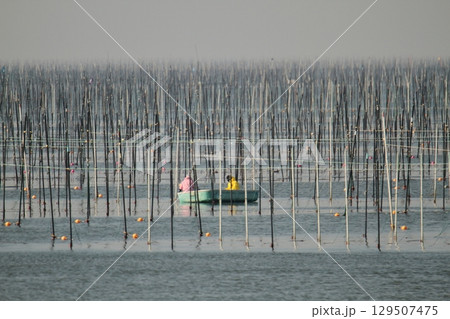 大牟田市　有明海　海苔畑、 129507475