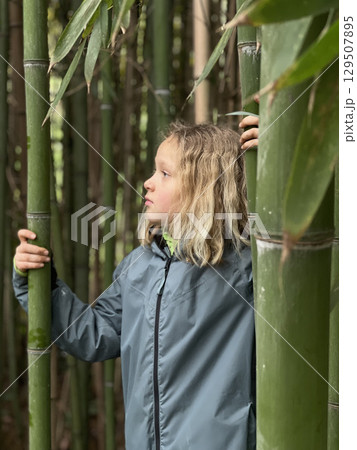 Reflective Girl Exploring a Serene Bamboo Forest Reflective Girl Exploring a Serene Bamboo Forest 129507895