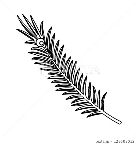 Outline Rosemary twig with berry Aromatic additive to meat, fish and other dishes Minimalist Design Outline Rosemary twig with berry Aromatic additive to meat, fish and other dishes Minimalist Design 129508012