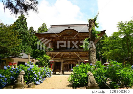 アジサイが満開 音羽山 清水寺 129508360