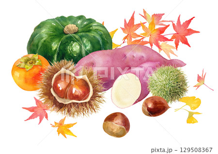 秋の収穫物を集めた水彩イラスト。柿、栗、サツマイモ、カボチャと紅葉した葉。 129508367