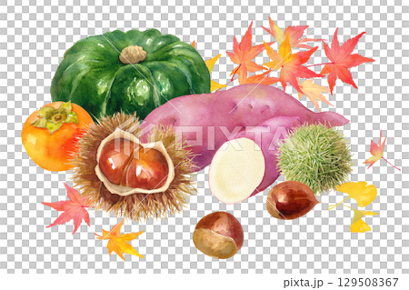 秋の収穫物を集めた水彩イラスト。柿、栗、サツマイモ、カボチャと紅葉した葉。 129508367