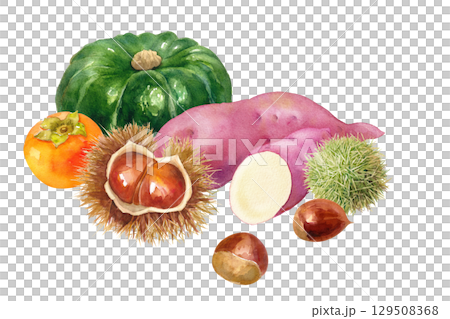 秋收水彩畫：柿子、栗子、地瓜、南瓜 129508368