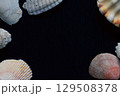 貝殻で飾られたタイトルページ 129508378