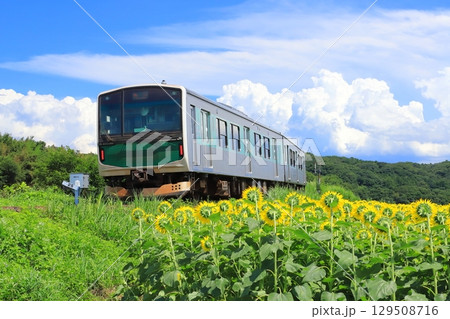 烏山線「ひまわり畑と蓄電池駆動電車ACCUM」 129508716