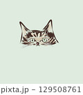 ブラウンとベージュの縞模様のある猫のカラーイラスト 129508761