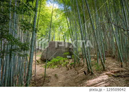 益田岩船（奈良県橿原市） 129509042