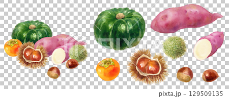 秋日滋味：南瓜、柿子、栗子和地瓜的水彩插畫。各式各樣的水果和各種組件的插圖。 129509135