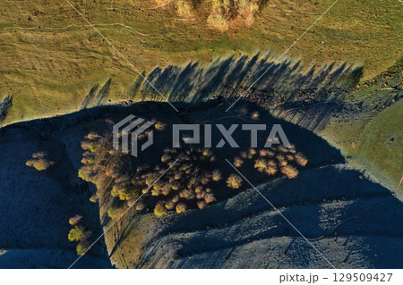 Aerial top down view of autumn trees shadow on green meadow 129509427