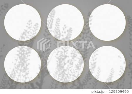 Natural light casts shadows from wild grasses on 6 round sheets of white textured paper lying on a gray textured background. Mockup 129509490