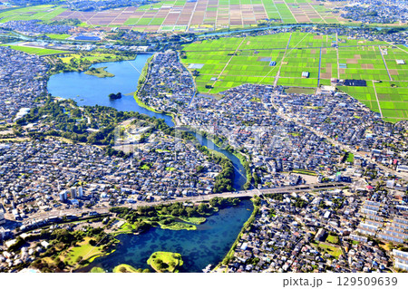 水前寺江津湖公園周辺(熊本県熊本市)【2025.7】 水前寺江津湖公園周辺(熊本県熊本市)【2025.7】 129509639