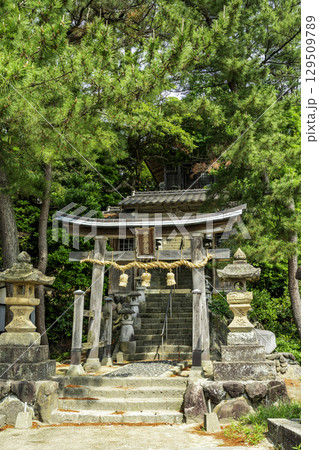 浦富海岸 荒砂神社 鳥取県岩美町 浦富海岸 荒砂神社 鳥取県岩美町 129509789