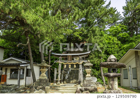 浦富海岸 荒砂神社 鳥取県岩美町 浦富海岸 荒砂神社 鳥取県岩美町 129509790