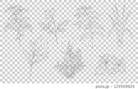 Vector line drawing illustration of a set of seven Western herbs 129509929