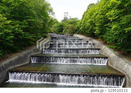 奥沢水源地の階段式溢流路（2025年夏！） 129510115