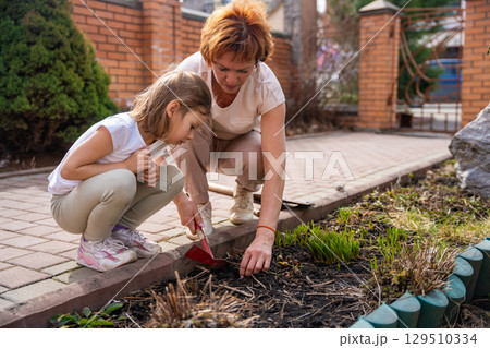 Woman gardening with a young girl in the backyard, teaching her how to care for flowers. Family bonding, outdoor learning, and eco-friendly lifestyle. Woman gardening with a young girl in the backyard, teaching her how to care for flowers. Family bonding, outdoor learning, and eco-friendly lifestyle. 129510334