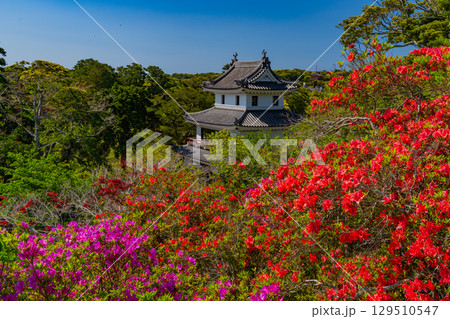 【長崎県】真っ赤なヒラドツツジが咲いた平戸城・乾櫓 129510547