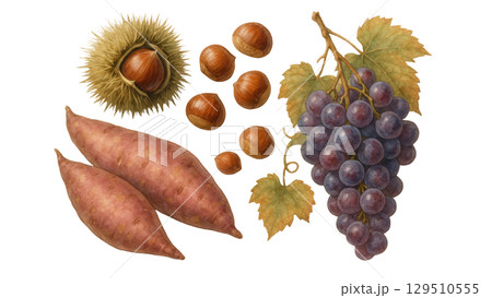 秋の色の実と落ち葉 129510555