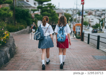 Two teenage friends are walking to school in the morning for classes. View from behind. Two schoolgirls are walking to school. 129510713