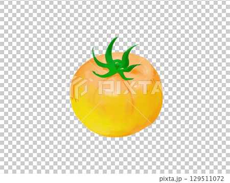 Yellow cherry tomato illustration Yellow cherry tomato illustration 129511072