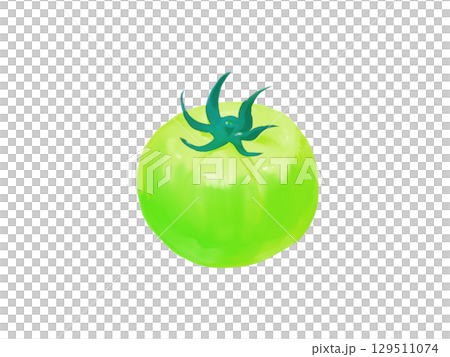 Green cherry tomato illustration 129511074