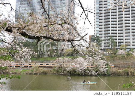 桜と中央総武線・外濠公園【東京都千代田区】 桜と中央総武線・外濠公園【東京都千代田区】 129511187