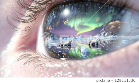 Closeup human eye reflecting Northern lights with polar bears in icy landscape 129511330