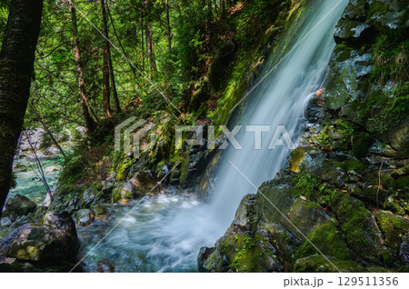 【阿寺渓谷】六段の滝【木曽郡大桑村】 129511356
