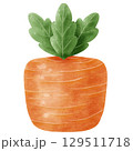 small garden carrot isolated on white background 129511718
