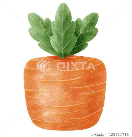 small garden carrot isolated on white background small garden carrot isolated on white background 129511718