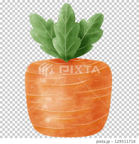 small garden carrot isolated on white background small garden carrot isolated on white background 129511718