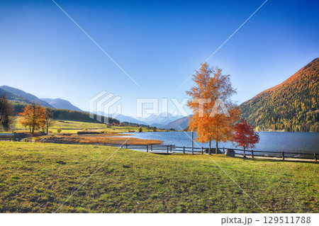 Gorgeous autumn view of Haidersee (Lago della Muta) lake with Ortler peak on background. Gorgeous autumn view of Haidersee (Lago della Muta) lake with Ortler peak on background. 129511788