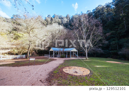Walhalla Township in Victoria Australia Walhalla Township in Victoria Australia 129512101